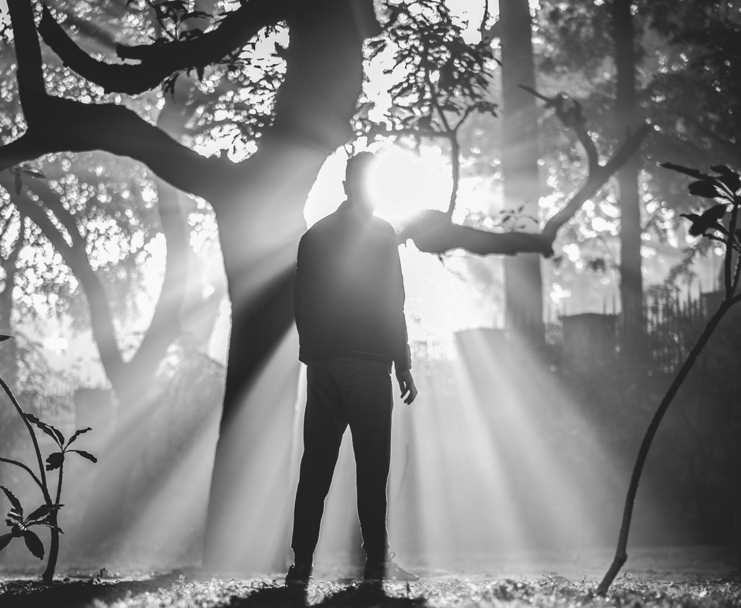 man in forrest