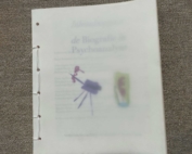 omslag boek Biografie in Psychoanalyse